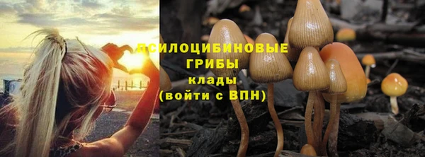 трава Богородск