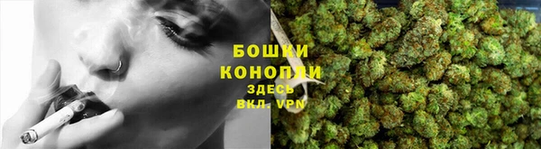mdpv Богданович