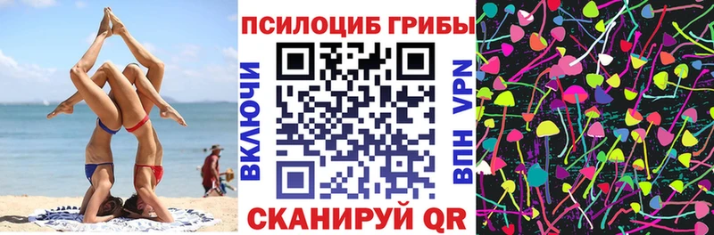 Псилоцибиновые грибы Cubensis  наркота  Мегион 